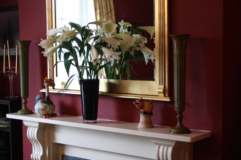 Cheriton House Bed and Breakfast Winfrith Newburgh Eksteriør billede